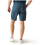 Чоловічі шорти Regatta Ruwan Shorts