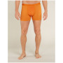 Чоловічі боксери Icebreaker Mens Anatomica Boxers