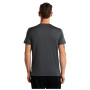 Чоловіча футболка Icebreaker Men Merino 150 Tech Lite Bear Tour