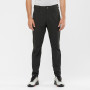 Чоловічі штани Salomon Wayfarer Tapered