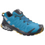 Чоловічі черевики Salomon Xa Pro 3D V8 GTX