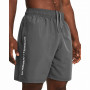 Чоловічі шорти Under Armour Woven Wdmk Shorts