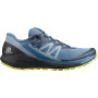 Чоловічі черевики Salomon Sense Ride 4