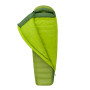 Спальний мішок Sea to Summit Ascent AcII - Regular