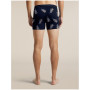 Чоловічі функціональні боксерки Icebreaker Men M 150 Anatomica Boxers BearTourAOP