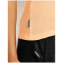 Жіноча функціональна футболка Icebreaker Merino Blend Core SS Tee Panax