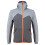 Чоловіча толстовка Salewa Solid Logo Dry M FZ HDY