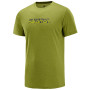 Pánské triko Salomon Agile Graphic Tee M zelená Avocado heat