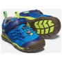 Дитячі черевики Keen Chandler Cnx Children