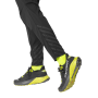 Чоловічі легінси Dynafit Trail Reflective Pnt M