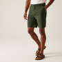 Чоловічі шорти Regatta Dalry Short