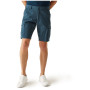 Чоловічі шорти Regatta Ruwan Shorts