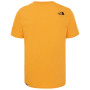 Чоловіча футболка The North Face Easy Tee