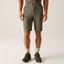 Чоловічі шорти Regatta Highton Shorts Long II