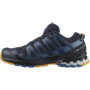 Чоловічі черевики Salomon Xa Pro 3D V8