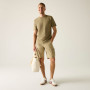 Чоловічі шорти Regatta Shorebay Shorts II