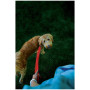 Повідець для собаки Nite Ize LED NiteDog