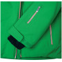 Чоловіча гірськолижна куртка Dare 2b Rendor Jacket