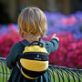 Дитячий рюкзак LittleLife Toddler Bee