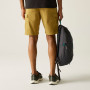 Чоловічі шорти Regatta Ruwan Shorts