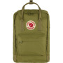 Рюкзак Fjällräven Kanken 15" темно-зелений Foliage Green