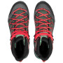 Жіночі черевики Salewa Ws Mtn Trainer Lite Mid Gtx