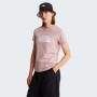 Жіноча футболка The North Face W Evolution Half Dome Slim Short Sleeve