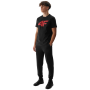 Чоловічі спортивні штани 4F Trousers Cas M645