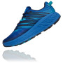 Чоловічі кросівки Hoka Speedgoat 4