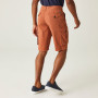 Чоловічі шорти Regatta Shorebay Short