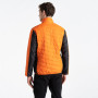Чоловіча куртка Dare 2b Descending Jacket