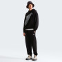 Чоловічі спортивні штани The North Face Essential Terry Simple Dome Relaxe