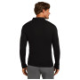Чоловіча функціональна футболка Icebreaker M 175 Everyday LS Half Zip
