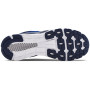 Чоловічі черевики Under Armour HOVR Infinite 3