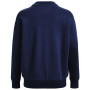 Жіноча толстовка Under Armour Rival Fleece Crest Grp Crew