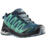 Жіночі черевики Salomon Xa Pro 3D V8 GTX W
