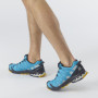 Чоловічі черевики Salomon Xa Pro 3D V8 GTX