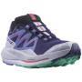Жіночі кросівки Salomon Pulsar Trail Gtx W