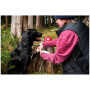 Аптечка для собак Mountain Paws Dog First Aid Kit