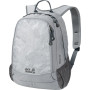Рюкзак Jack Wolfskin Perfect Day 22 сірий LeafGray